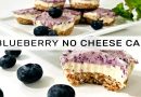 Raw Vegan Blueberry No-Cheese Cake Recipe I Gluten Free Vegan Desserts I Dairy Free & NO SUGAR