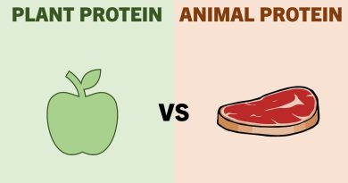 How Effective Are Vegan Diets for Muscle Growth?