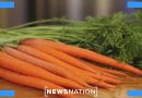 Vegan diets can slow aging process: Stanford University research | Morning in America