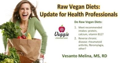 Raw vegan diets – Update for health professionals – Vesanto Melina