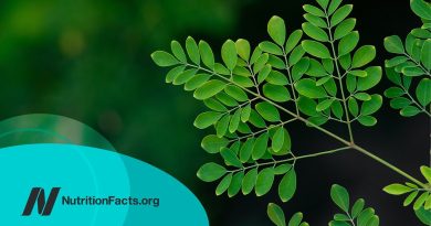 The Benefits of Moringa: Is It the Most Nutritious Food?