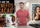 What are the Benefits of Cacao? Raw Cacao is Good for You – Thomas DeLauer