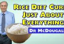 Rice Diet CURES Most Diseases – McDougall