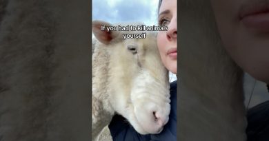 Answering an Important Vegan Question