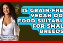 Is Grain-Free Vegan Dog Food Suitable For Small Breeds? – Ask A Pet Vet