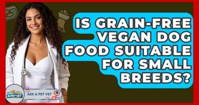 Is Grain-Free Vegan Dog Food Suitable For Small Breeds? – Ask A Pet Vet