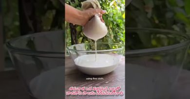 COCONUT MILK & CURD | CHAL KALAM | HEALTHY LIFE STYLE |