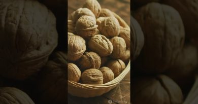 5 Amazing  Plant Based Omega 3 Foods | #shorts #omega 3 #fitness #heart #health #diet #gym #fitness